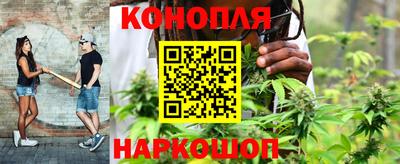 шишки Будённовск