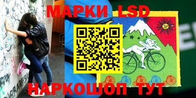 шишки Будённовск