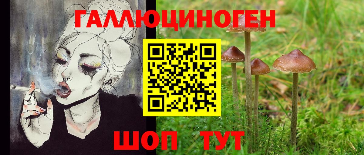 Мичуринск  Псилоцибиновые грибы Cubensis  Вход с VPN 
