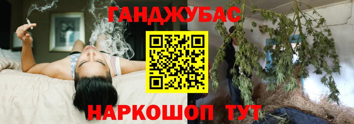 Бошки марихуана план Мичуринск